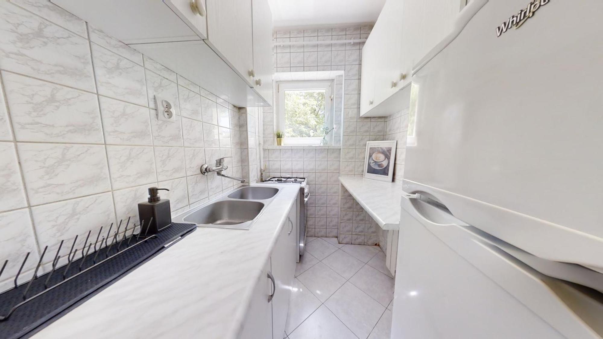 Anielewicza 36 Apartament